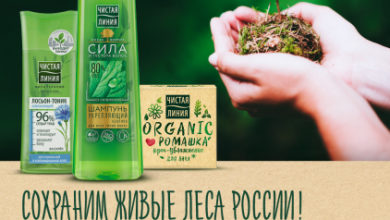 Фото - Пресс-релиз: Косметический бренд «Чистая Линия» и торговая сеть «Пятёрочка» помогут жителям России сохранять леса в режиме онлайн