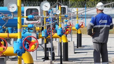 Фото - В Совфеде заявили о готовности РФ поставлять газ при создании ЕС нужных условий