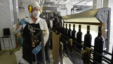 Фото - Эксперты предположили удвоение производства вина в России