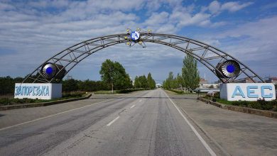 Фото - Правительство распорядилось создать ФГУП «Запорожская АЭС»